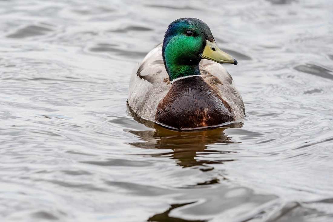 Photo by <a href=">Ben Wicks
