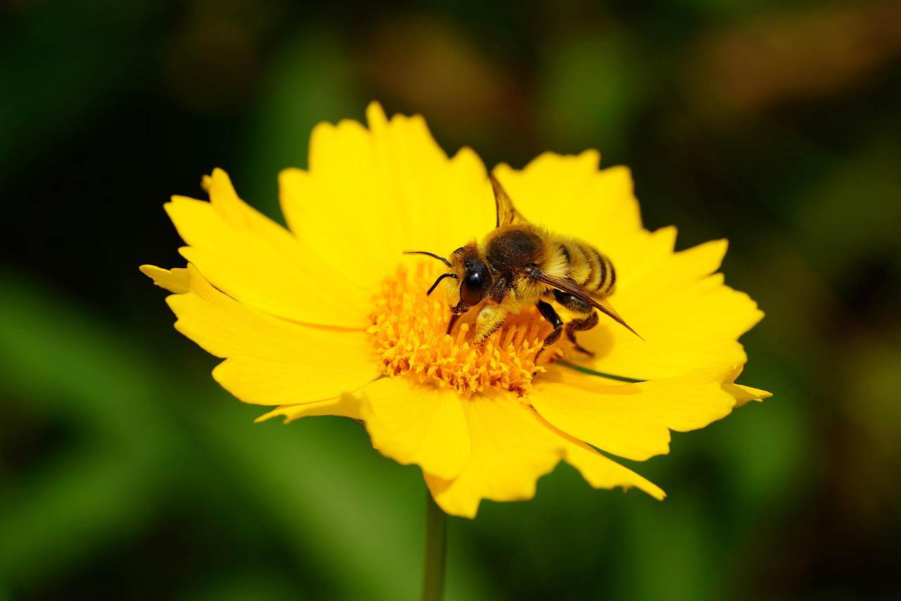 Photo by <a href="https://unsplash.com/@georgie_cobbs?utm_source=hostinger&utm_medium=referral">Georgie Cobbs</a> on <a href="https://unsplash.com/?utm_source=hostinger&utm_medium=referral">Unsplash</a>