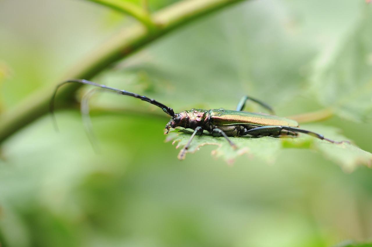 Photo by <a href="https://unsplash.com/@alexander_shatov?utm_source=hostinger&utm_medium=referral">Alexander Shatov</a> on <a href="https://unsplash.com/?utm_source=hostinger&utm_medium=referral">Unsplash</a>